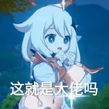 原神00056-这就是大佬吗