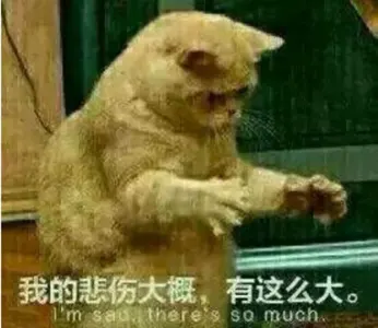 是喵星人啦00006-我的悲伤打个有这么大猫