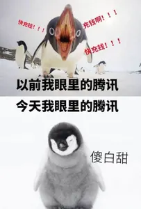 腾讯与老干妈00026-企鹅充钱