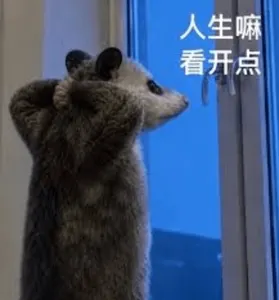 负鼠00015-人生嘛看开点