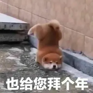 中国春节00004-也给您拜个年