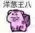 乌龟00018-洋葱王八