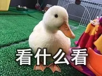 开心鸭00033-看什么看