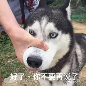 狗00031-好了你不要再说了
