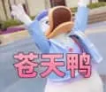 开心鸭00011-苍天鸭