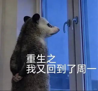 负鼠00023-重生之我又回到了周一