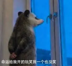 负鼠00009-命运给我开的玩笑我一个也没笑