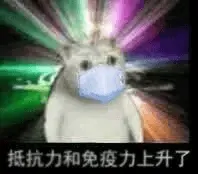 奇妙猫00014-抵抗力和免疫力上升了-口罩