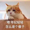 是喵星人啦00066-啧年纪轻轻怎么是个傻子猫