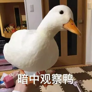 开心鸭00003-暗中观察鸭