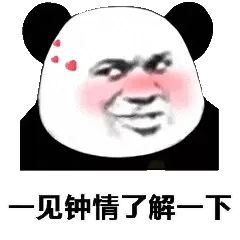 金馆长熊猫00097-一见钟情了解一下