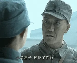 亮剑00004-小兔崽子还反了你了
