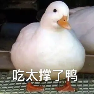 开心鸭00036-吃太撑了鸭