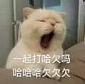 是喵星人啦00095-一起打哈欠吗哈哈哈欠欠欠猫