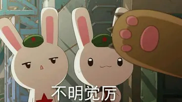 那年那兔那些事00019-不明觉厉