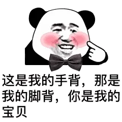 金馆长熊猫00111-这是我的手背那是我的脚背你是我的宝贝