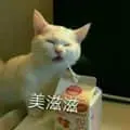 是喵星人啦00067-美滋滋猫