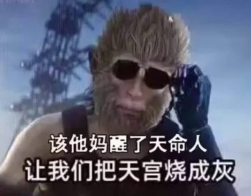 黑神话悟空00004-该他妈醒了天命人让我们把天宫烧成灰