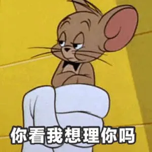 猫和老鼠00027-你看我想理你吗