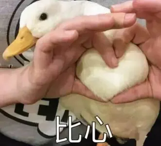 开心鸭00015-比心