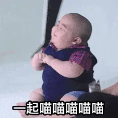 小胖男孩00005-一起喵喵喵
