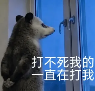 负鼠00027-打不死我的一直在打我