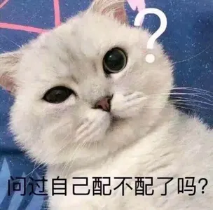 是喵星人啦00160-问过自己配不配了吗猫