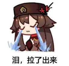 原神00088-泪拉了出来