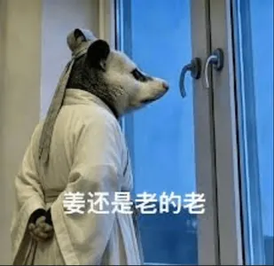 负鼠00006-姜还是老的老