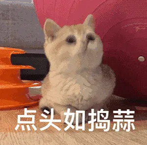 是喵星人啦00043-点头如捣蒜猫