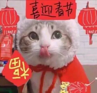 中国春节00032-福喜迎春节