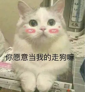 是喵星人啦00130-你愿意当我的走狗嘛猫