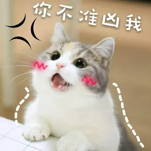 是喵星人啦00136-你不准凶我猫