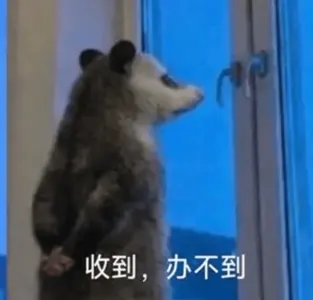负鼠00002-收到办不到