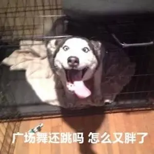 中国春节00054-广场舞还跳吗怎么又胖了