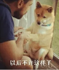 狗00053-以后不许这样了