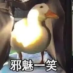 开心鸭00029-邪魅一笑