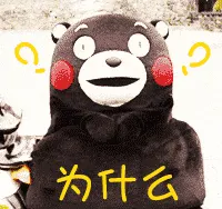 熊本熊00009-为什么