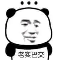 金馆长熊猫00263-老实巴交