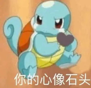 杰尼龟00016-你的心像石头