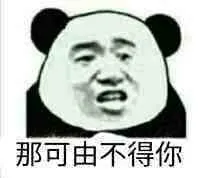 金馆长熊猫00279-那可由不得你