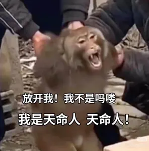 黑神话悟空00016-放开我我不是马喽我是天命人天命人
