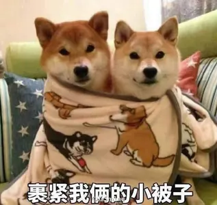 狗00023-裹紧我俩的小被子