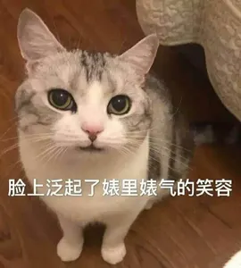是喵星人啦00165-脸上泛起了婊里婊气的笑容猫