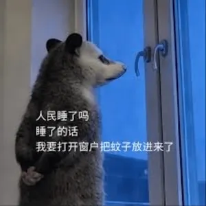 负鼠00005-人民睡了吗睡了的话我要打开窗户把蚊子放进来了