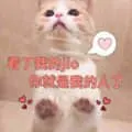 是喵星人啦00048-看了我的脚你就是我的人了猫