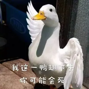 开心鸭00007-我这一鸭翅下去你可能会死