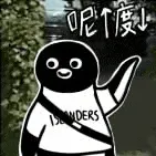 Penguin00143