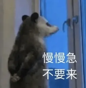 负鼠00003-慢慢急不要来