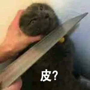 是喵星人啦00097-皮猫